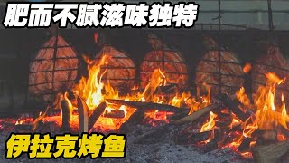 第一次进伊拉克高档餐厅！当地烤鱼肥而不腻，半夜慎点我怕你饿！【阿九闯地球】