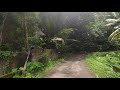 backroad drive kurumpanadom to palachodu junction nalunnakkal kottayam kerala india episode 2