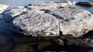 Shale (mudstone). Yellowstone River.