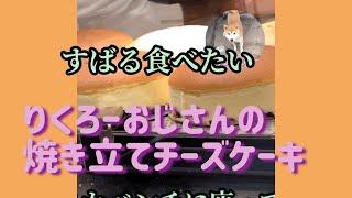 【柴犬かわいい】りくろーおじさんの焼き立てチーズケーキ/柴犬すばる無理/大丸百貨店/大阪梅田