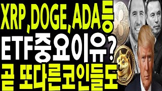 비트코인 도지코인 리플코인  XRP DOGE ADA등  ETF중요이유? 그외  또  쏟아질둣  🔥