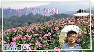 สวนกุหลาบ บนยอดดอย เชียงใหม่  2021