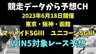 【競馬予想】2023-06-18　東京・阪神・函館　WIN5対象５レース予想　３連単予想　穴馬を探します