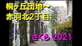 【桐ヶ丘団地】赤羽北２丁目までの桜 2021