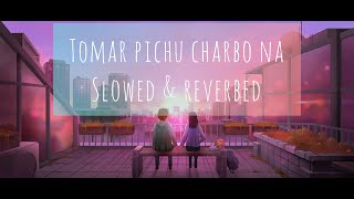 Tomar pichu charbo na (lo-fy) slowed and reverbed || #edit #trending