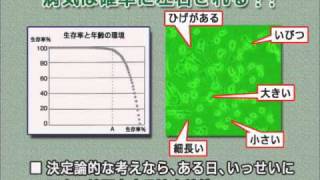 3/6 WAO高校生講座「アルツハイマー病の治療法を探せ」