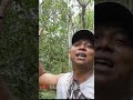 Alhamdulilah Masuk Hutan Ini Masih Poin Kolibri Ninja