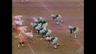 (UNBELIEVEBABLY RARE) 1969 NFL Season TV Broadcast Highlights - 480p