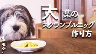 犬ご飯手作りレシピ｜大葉のスクランブルエッグの作り方【もふ飯】