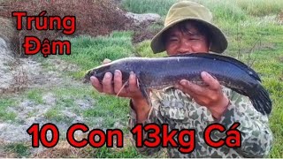 Săn Lóc Đen Khủng Tập 20 -Trúng Đậm 10 Con hugo hơn 13kg.