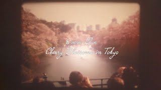 8mm Film / Cherry Blossoms in Tokyo 2022 / Single 8 / Super 8 / Sakura 桜 / ELMO 8S 30T / JAPAN / 8ミリ