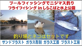 プールフィッシングでニジマス釣り　フライフィッシングinしらこばと水上公園　サンドブラスト ガラス工芸 埼玉 ガラス彫刻 名入れ彫刻