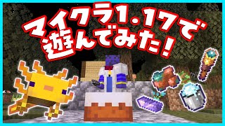 【おもろい場面集】視聴者とマイクラver1.17で遊んだ！【#らっだぁ切り抜き】