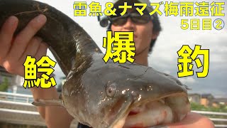 ナマズ\u0026雷魚釣り 梅雨5日目②【262】虫くん釣りch