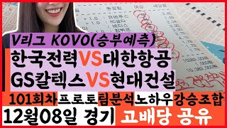 🌷스포츠전문적중왕🌷[KOVO분석][V리그][배구분석][토토분석] 스포츠분석 스포츠토토 12월08일 남자배구 여자배구 KOVO 프로토 배트맨토토 승부식 101회차 GS칼텍스 현대건설