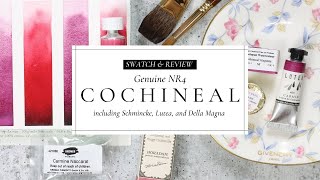 Genuine Cochineal Watercolors, featuring Schmincke, Lutea, Della Magna Watercolors and more