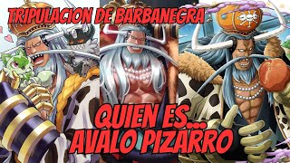 ONE PIECE: Biografía Completa, AVALO PIZARRO