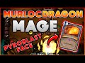 Murloc Dragon MAGE (Diamond Rank) | Hearthstone | Ashes of Outland