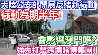 🔴大陸公安部開展新行動！強力打擊跨境賭博集團！行動為期半年！｜CC字幕｜日更頻道