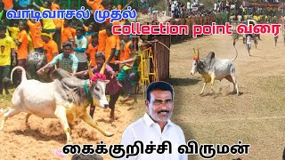 Collection point வரை video | Jallikattu video | ஜல்லிக்கட்டு | மஞ்சுவிரட்டு  @manjuvirattutv941