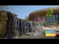 GDL: Waterfront Botanical Gardens on Great Day Live!