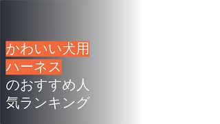 🌵かわいい犬用ハーネスのおすすめ人気ランキング11選