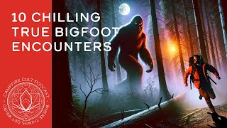 10 Chilling Bigfoot Encounters You Won’t Believe Actually Happened!