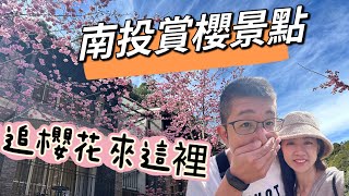 【南投杉林溪】全台灣獨一無二的櫻花河岸!南投渡假勝地!台灣十大森林之一#南投旅遊#杉林溪#南投步道#賞櫻景點#松瀧岩#南投度假勝地#台灣十大森林