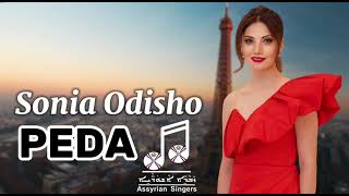 Sonia odisho - Peda 2024 live سونيا اوديشو