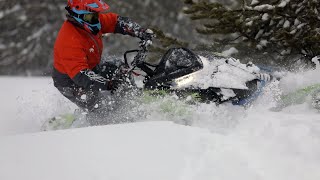 Arctic Cat Riot 2020 - 2021