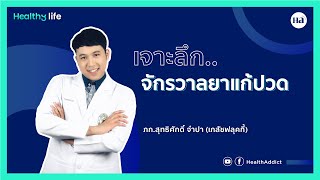 Healthy Life [EP.17] : เจาะลึก...จักรวาลยาแก้ปวด