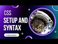 CSS Setup and Syntax | Day 17 Codecademy