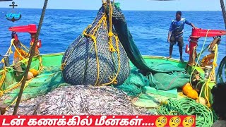 3000 கிலோ மீன்கள் ஒரே வலையில்....| மீன் குவிய...வலை கிழிய...| Sea Style Tamil