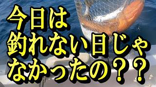 今日は釣れない日じゃなかったの？＆かんたんネリゴの漬け丼作ってみた！釣り友達のやっちゃんさんとてとぅんさんとの３人釣行！１番釣ったのは誰だ？#釣り　#2馬力ボート　#釣り鹿児島　#分割ボート　#青物