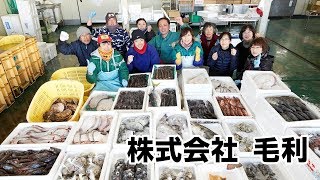 株式会社 毛利【活魚・鮮魚・凍魚】