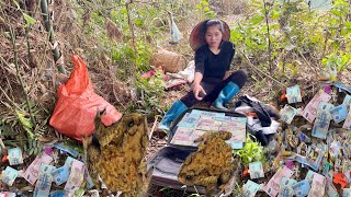 The girl collecting scrap discovered a suitcase containing a lot of money inside