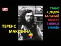 Теренс МакКенна – Трансцендентальный Объект в Конце Времён