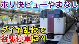 【普通列車に変身】ダイヤ乱れのホリデー快速ビューやまなし号に乗車　【2019 甲府日帰り #1】