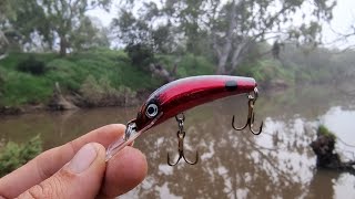 Just How Good Are Stumpjumper Lures For Australian Bass? #shimano #stumpjumper #lurefishing