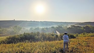 Soil water preferential flow: Broad drivers and consequences for encroached grassland