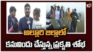 అల్లూరి జిల్లాలో కనువిందు చేస్తున్న ప్రకృతి శోభ | Cold Claw At Alluri Dist | Nature Beauty | 10TV