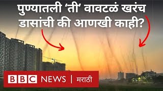 Pune Mosquito Tornado Viral video Fact Check: पुण्यात व्हीडिओ डासांचा की आणखी काही? (BBC Marathi)