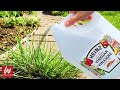 Use Vinegar In Your Garden And Watch What Happens