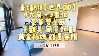 [暫停銷售]《濃縮版》青埔【世界CBD景觀户】售3180萬★大4房3車位 青商路 華泰名品城、IKEA A18捷運站 高鐵桃園站★育約看好房 洽0937-856168張菀育 永慶不動產