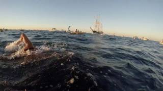 2017 Rottnest Channel Swim