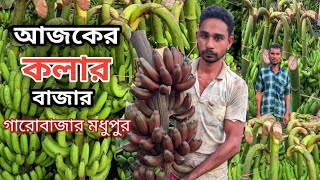 আজকের কলার বাজার | চাম্পা কলার দাম ও বাজার | গারোবাজার | মধুপুর | Garobazar | Modhupur