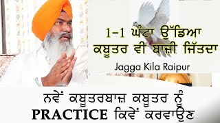 ਨਵੇਂ ਕਬੂਤਰਬਾਜ਼ ਕਬੂਤਰ ਨੂੰ PRACTICE ਕਿਵੇਂ ਕਰਵਾਉਣ | JAGGA KILA RAIPUR | TOP KABOOTERBAZ 2021