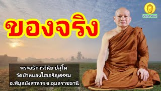 ของจริง : พระอธิการวินัย ปสุโต วัดป่าหนองไฮเจริญธรรม อ.พิบูลมังสาหาร จ.อุบลราชธานี