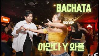 바차타공연 | Bachata Social Dance ( Prince Royce : Morfina)- 보니따 2025.01.03