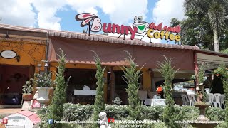 รีวิว ร้านบันนี่คอฟฟี่ (Bunny Coffee) ปากช่อง